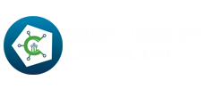 Saint Vincent Capital LTD.